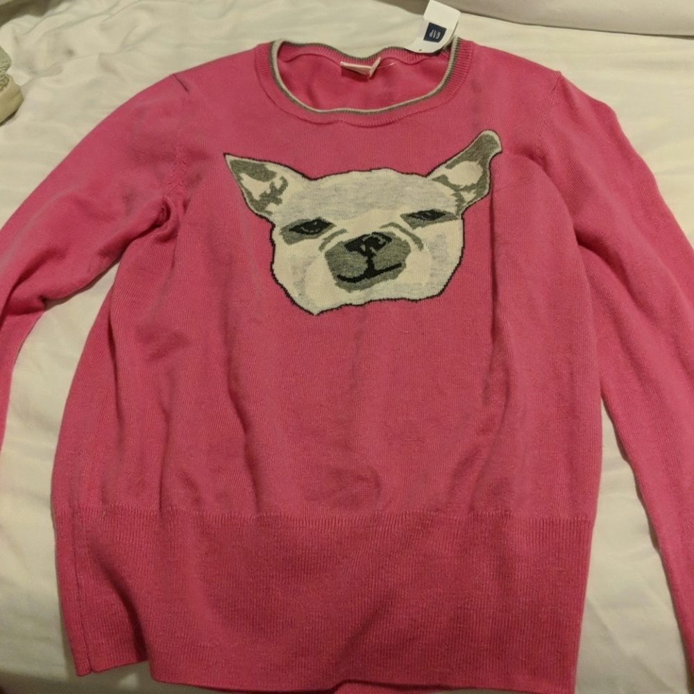 Gap sweater